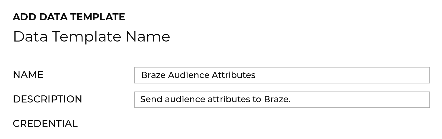 A seção de nome de modelo de dados com o nome "Atributos do público da Braze" e a descrição "Enviar atributos do público para a Braze".